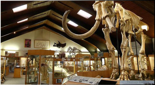 Wyoming Dinosaur Center in Thermopolis Wyoming. Photo courtesy of Wyoming Tourism